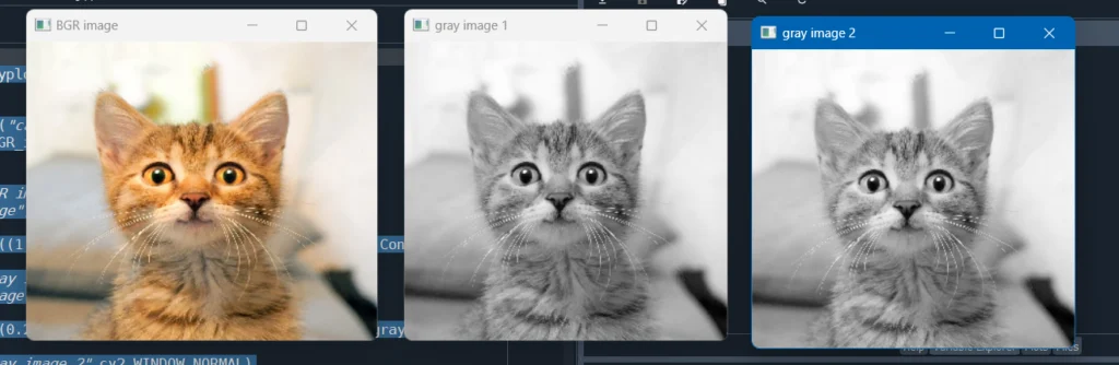 computer vision