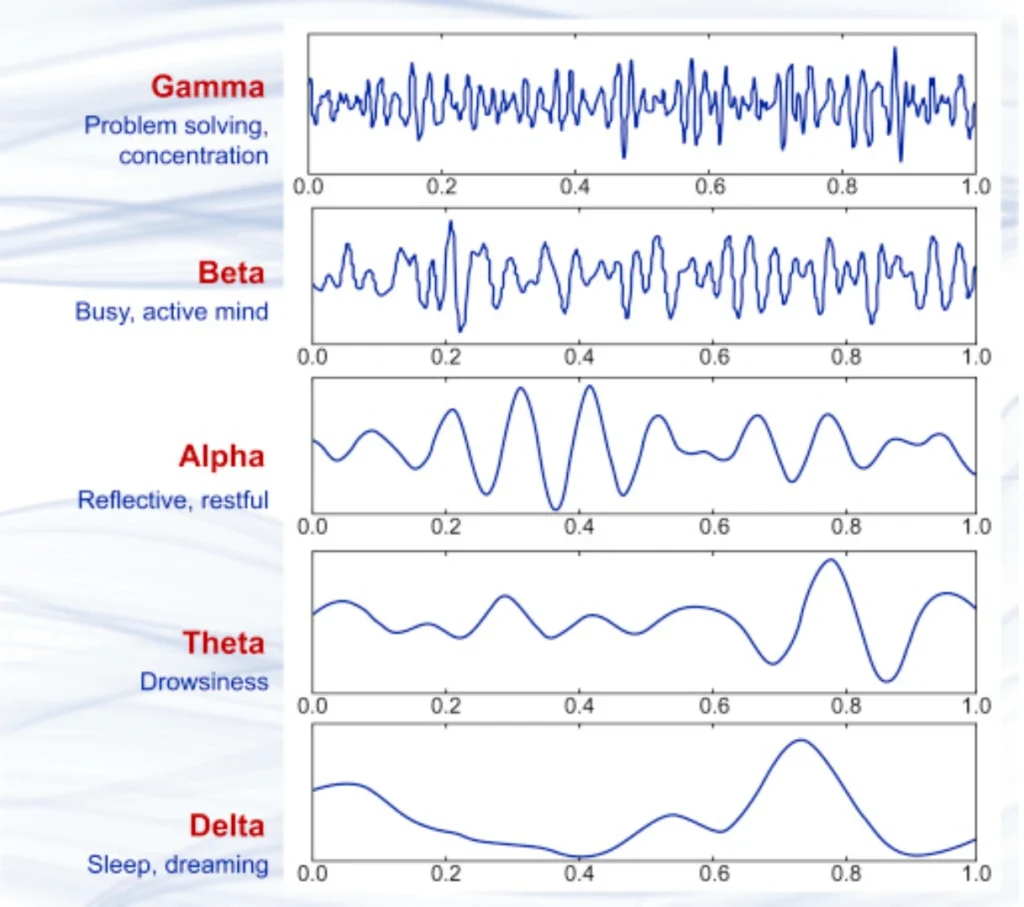 eeg